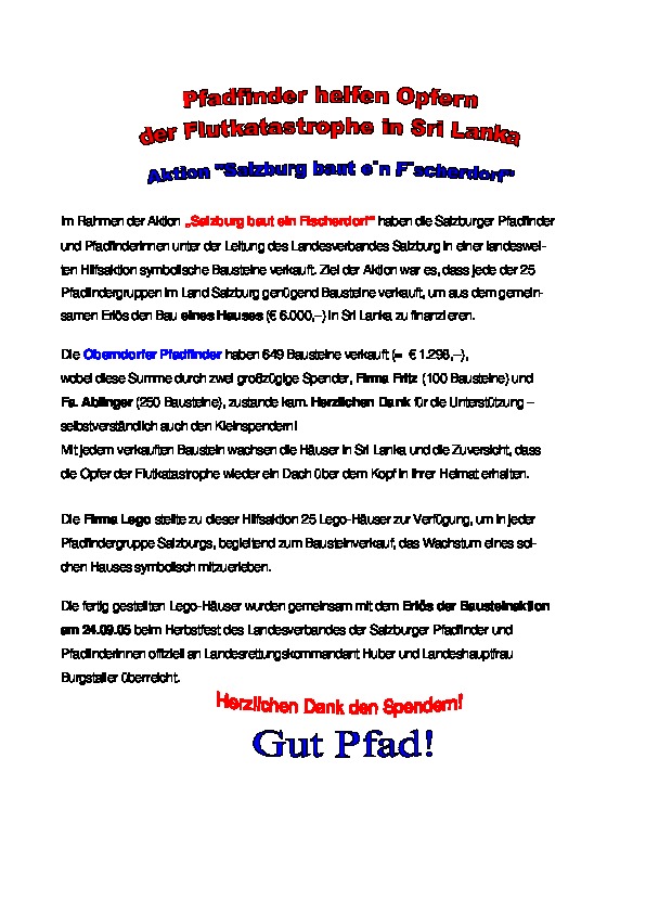PFO_Info_Bausteinaktion.pdf